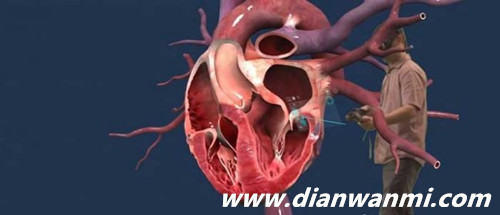 YOU VR利用VR讓大家更加輕松了解人體結(jié)構(gòu) Sharecare VR YOU VR VR及其它  第1張