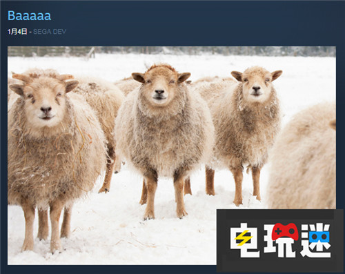 世嘉希望將推出《凱瑟琳》后會有更多游戲登陸PC Steam PC 女神異聞錄5 凱瑟琳 Atlus 世嘉 STEAM/Epic  第1張