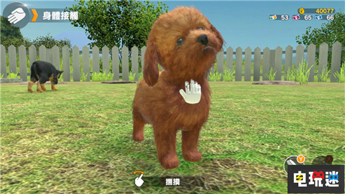 Switch萌寵游戲《小小伙伴：狗狗與貓貓》將推出繁中版 Arc System Works 小小伙伴：狗狗與貓貓 NS Switch 任天堂 任天堂SWITCH  第4張