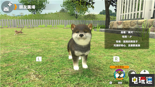 Switch萌寵游戲《小小伙伴：狗狗與貓貓》將推出繁中版 Arc System Works 小小伙伴：狗狗與貓貓 NS Switch 任天堂 任天堂SWITCH  第2張