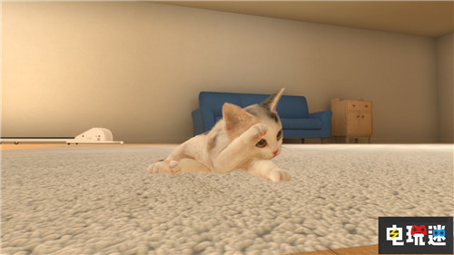 Switch萌寵游戲《小小伙伴：狗狗與貓貓》將推出繁中版 Arc System Works 小小伙伴：狗狗與貓貓 NS Switch 任天堂 任天堂SWITCH  第8張