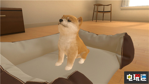 Switch萌寵游戲《小小伙伴：狗狗與貓貓》將推出繁中版 Arc System Works 小小伙伴：狗狗與貓貓 NS Switch 任天堂 任天堂SWITCH  第7張