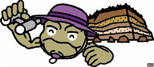 《精靈寶可夢》小拳石成為日本巖手縣吉祥物 小拳石 任天堂 Switch 精靈寶可夢 巖手縣 日本 任天堂SWITCH  第6張