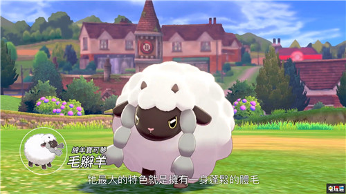 《精靈寶可夢(mèng)：劍盾》大量新情報(bào)公開(kāi) 11月15日發(fā)售 任天堂 Switch 精靈寶可夢(mèng) 精靈寶可夢(mèng)：劍盾 任天堂SWITCH  第2張