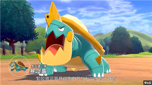 《精靈寶可夢(mèng)：劍盾》大量新情報(bào)公開(kāi) 11月15日發(fā)售 任天堂 Switch 精靈寶可夢(mèng) 精靈寶可夢(mèng)：劍盾 任天堂SWITCH  第4張