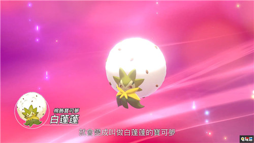《精靈寶可夢(mèng)：劍盾》大量新情報(bào)公開(kāi) 11月15日發(fā)售 任天堂 Switch 精靈寶可夢(mèng) 精靈寶可夢(mèng)：劍盾 任天堂SWITCH  第6張