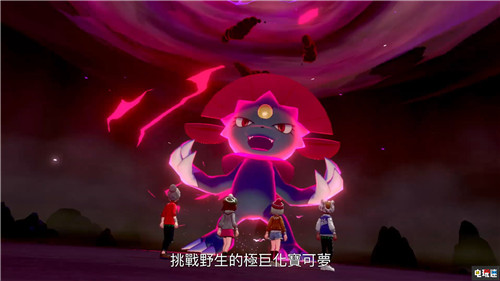 《精靈寶可夢(mèng)：劍盾》大量新情報(bào)公開(kāi) 11月15日發(fā)售 任天堂 Switch 精靈寶可夢(mèng) 精靈寶可夢(mèng)：劍盾 任天堂SWITCH  第11張