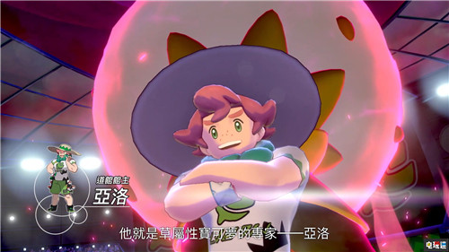 《精靈寶可夢(mèng)：劍盾》大量新情報(bào)公開(kāi) 11月15日發(fā)售 任天堂 Switch 精靈寶可夢(mèng) 精靈寶可夢(mèng)：劍盾 任天堂SWITCH  第13張