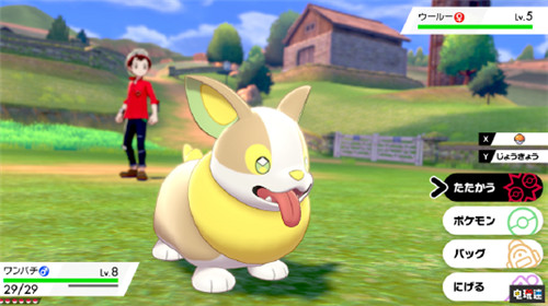 煤球成精 《精靈寶可夢：劍盾》新寶可夢情報放出 精靈寶可夢 Switch 任天堂 精靈寶可夢：劍盾 任天堂SWITCH  第2張