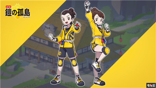《寶可夢：劍/盾》季票雙DLC公開包含大量寶可夢與內(nèi)容 寶可夢Home DLC 直面會 任天堂 Switch 寶可夢：劍盾 任天堂SWITCH  第4張