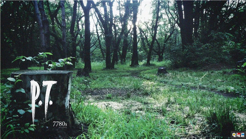 小島秀夫稱(chēng)想制作“嚇尿玩家的革命性”恐怖游戲 恐怖游戲 小島秀夫 PT 電玩迷資訊  第1張