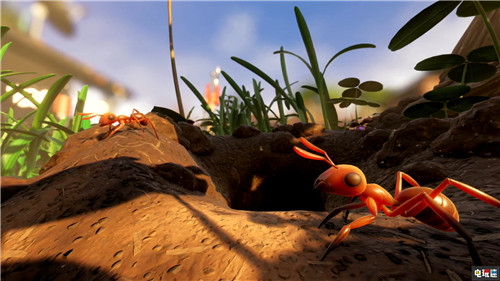 黑曜石縮小冒險游戲《Grounded》宣布6月28日開啟搶先體驗 Steam Grounded.Xbox 黑曜石娛樂 微軟XBOX  第4張