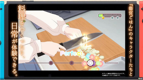 因疫情影響《每日 衛(wèi)宮家今天的飯》宣布跳票 Fate/stay night Switch 每日 衛(wèi)宮家今天的飯 任天堂SWITCH  第3張