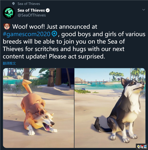 《盜賊之?！穼⒃鎏硗粜侨俗鳛閷櫸?Win10 Steam XboxOne 汪星人 狗 寵物 盜賊之海 電玩迷資訊  第2張