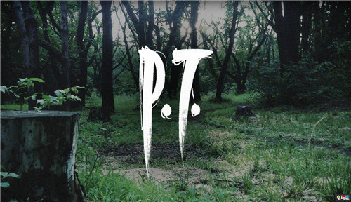 由于已經(jīng)下架 《P.T.》無法通過PS5向下兼容 寂靜嶺 PS5 P.T. PT 索尼PS  第1張