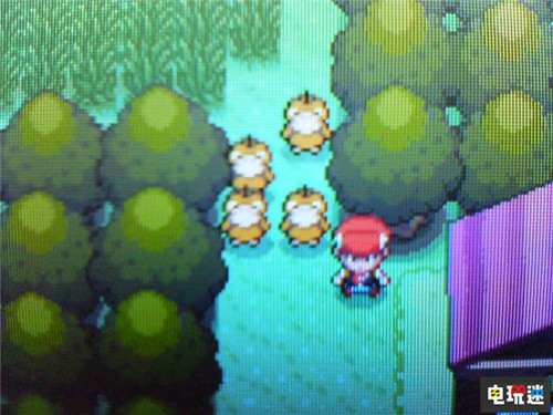 增田順一發(fā)布照片或暗示《寶可夢：珍珠/鉆石》NS重制 Switch 可達(dá)鴨 增田順一 寶可夢：珍珠/鉆石 任天堂SWITCH  第3張