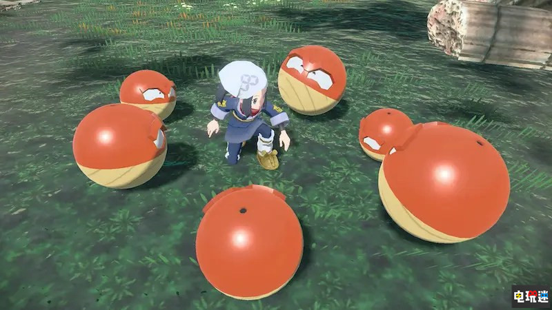 《寶可夢(mèng) 阿爾宙斯》公開(kāi)洗翠樣子的霹靂電球 電+草屬性 Switch 寶可夢(mèng)阿爾宙斯 雷電球 霹靂電球 洗翠樣子 阿爾宙斯 寶可夢(mèng) 任天堂SWITCH  第4張