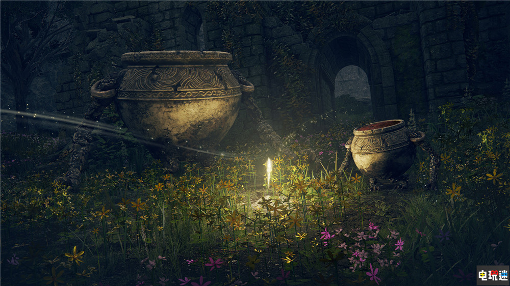 玩家發(fā)現(xiàn)《艾爾登法環(huán)》自身暫停方法無需mod PC與主機都能用  電玩迷資訊  第3張