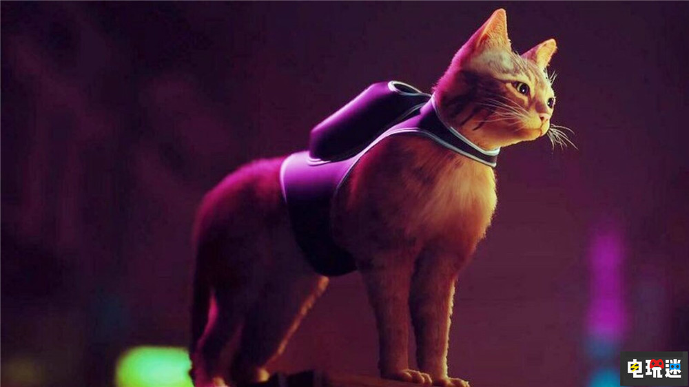 Steam周榜:賽博貓貓《迷失》第三 老頭環(huán)重返前四 曙光 怪物獵人 崛起 CS:GO 嚴(yán)陣以待 艾爾登法環(huán) 木筏 迷失 Steam Deck Steam周榜 STEAM/Epic 第1張 Steam周榜:賽博貓貓《迷失》第三 老頭環(huán)重返前四 曙光 怪物獵人 崛起 CS:GO 嚴(yán)陣以待 艾爾登法環(huán) 木筏 迷失 Steam Deck Steam周榜 STEAM/Epic 第1張