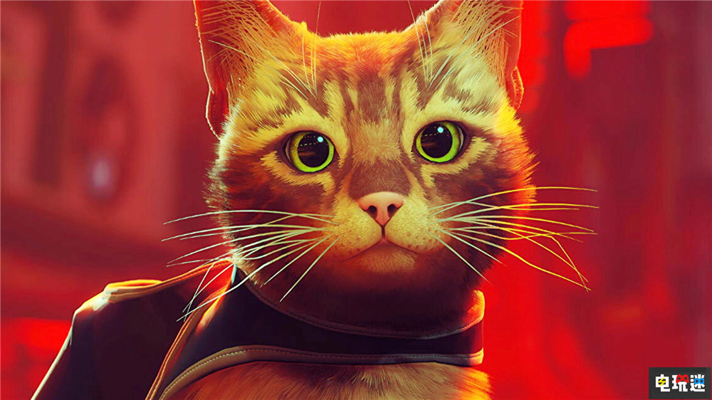 賽博貓貓游戲《迷失》Steam同時在線打破發(fā)行商記錄 橘貓 貓咪 PC游戲 Steam Stray 迷失 STEAM/Epic 第1張 賽博貓貓游戲《迷失》Steam同時在線打破發(fā)行商記錄 橘貓 貓咪 PC游戲 Steam Stray 迷失 STEAM/Epic 第1張