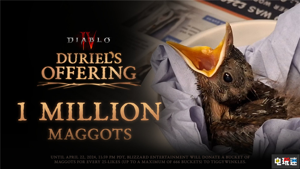 雞皮疙瘩整活：暴雪為動物醫(yī)院籌集三千萬蛆蟲幫助鳥類 都瑞爾 戰(zhàn)網(wǎng) ARPG 暗黑破壞神4 暴雪 電玩迷資訊  第3張