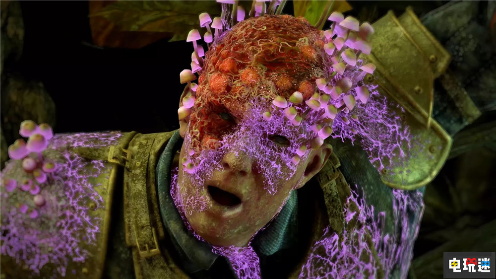 黑曜石總監(jiān)稱(chēng)《宣誓》中玩家有很多選擇來(lái)塑造角色 游戲選擇 永恒之柱 單機(jī)游戲 Avowed 宣誓 黑曜石娛樂(lè) 微軟XBOX  第2張